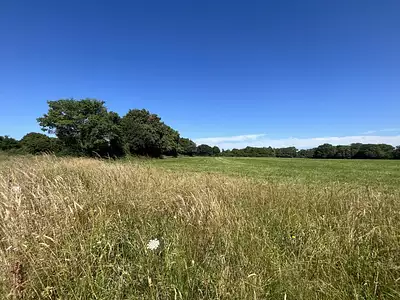 Terrain, 595 m²