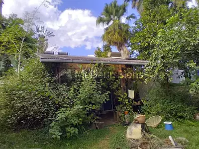 Maison, 260 m²