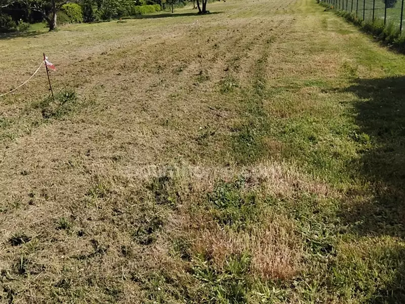 Terrain, 1 274 m²
