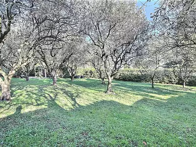 Maison, 200 m²