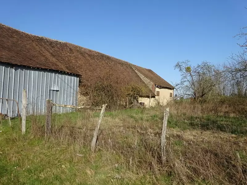 Terrain, 1 341 m²