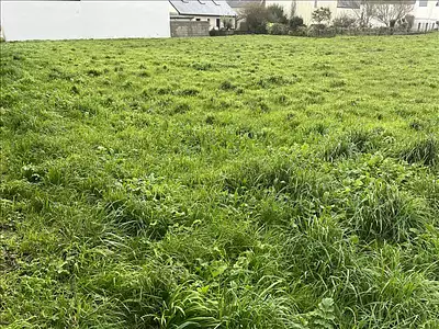 Terrain, 1 445 m²