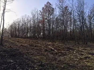 Terrain