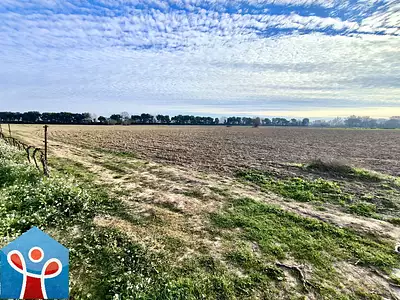 Terrain, 1 765 m²