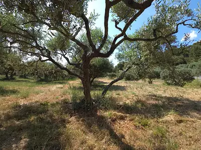 Maison, 101 m²