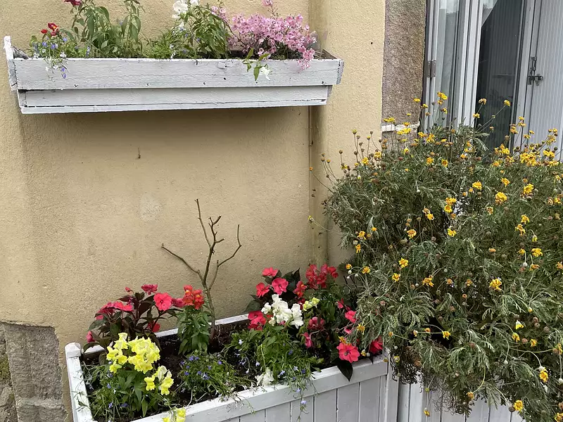 Maison, 75 m²
