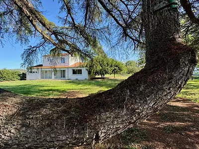 Maison, 204 m²