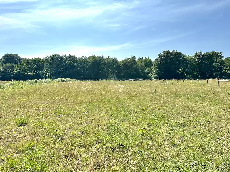 Maison, 230 m²