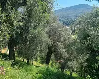 Terrain, 1 161 m²
