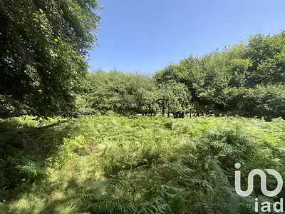 Maison, 42 m²