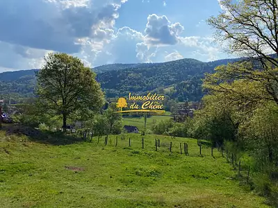 Terrain, 5 500 m²