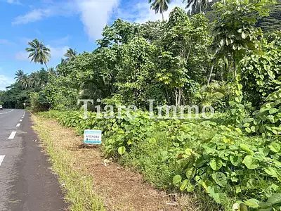 Terrain, 2 300 m²