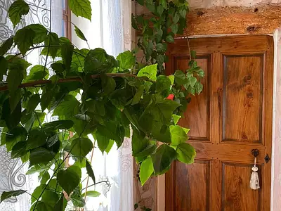 Maison, 209 m²