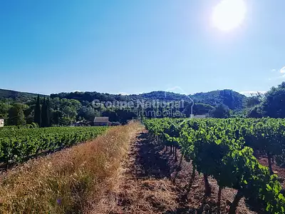 Terrain, 1 537 m²