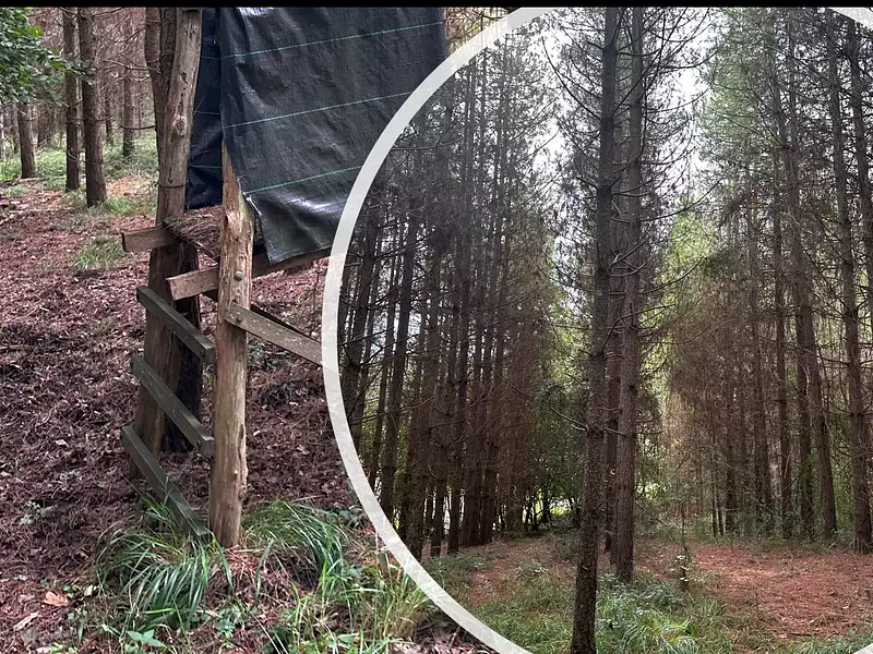 Terrain, 850 000 m²