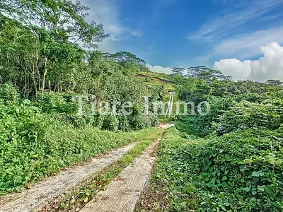 Terrain, 1 900 m²