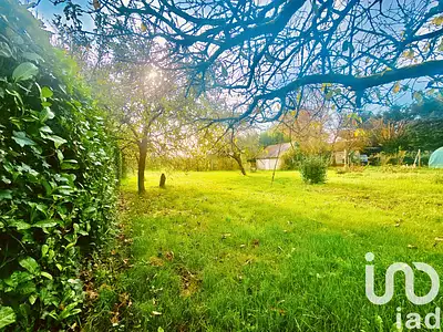 Terrain, 1 650 m²