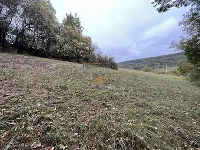 Terrain, 5 563 m²