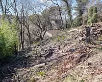 Terrain, 2 100 m²