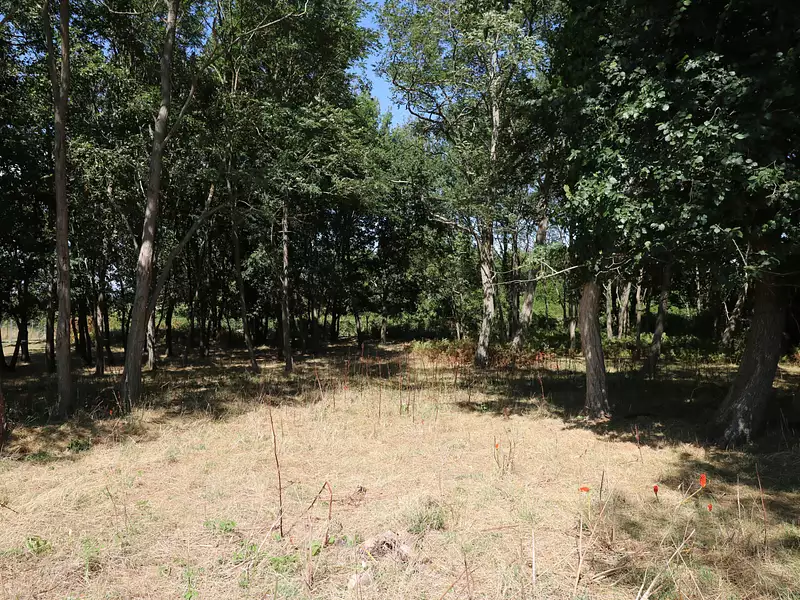 Terrain, 7 747 m²