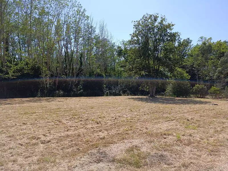 Terrain, 1 384 m²