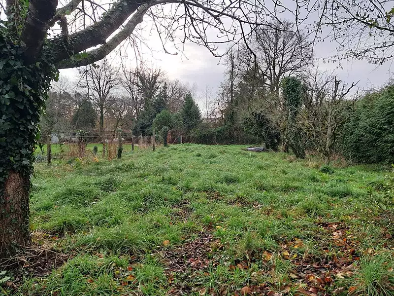 Terrain, 800 m²