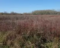 Terrain, 800 m²