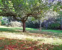 Terrain, 890 m²