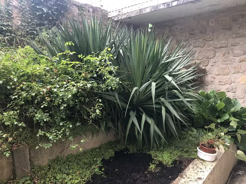 Appartement, 50,04 m²