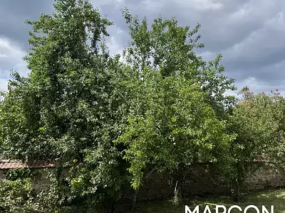 Maison, 195 m²