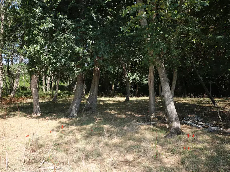 Divers, 7 750 m²