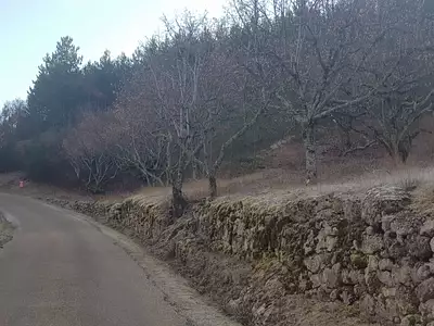 Terrain, 19 793 m²
