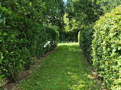 Terrain, 1 385 m²