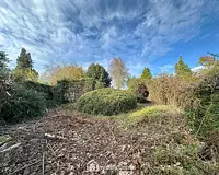 Terrain