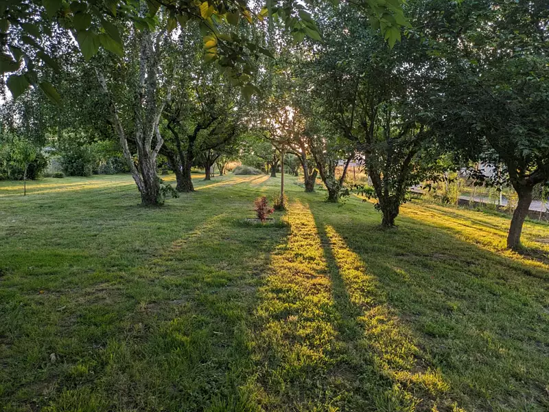 Terrain, 1 147 m²
