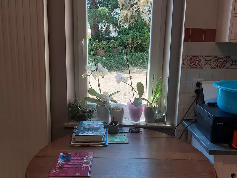 Maison, 240 m²