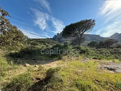 Terrain, 47 984 m²