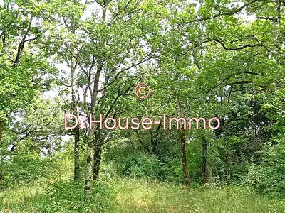 Terrain, 10 225 m²