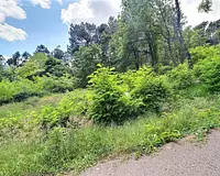 Terrain, 1 748 m²