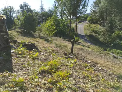 Terrain, 1 692 m²