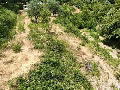 Terrain, 1 539 m²