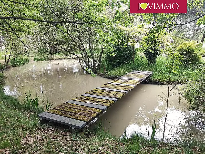 Terrain, 100 000 m²