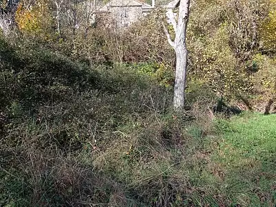 Terrain, 385 m²