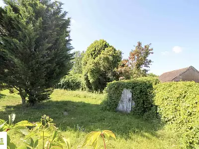 Terrain, 431 m²