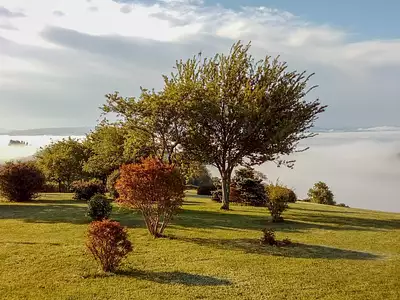 Maison, 232 m²