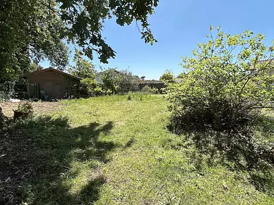 Terrain