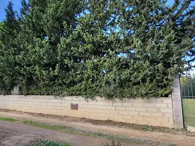 Terrain, 1 050 m²