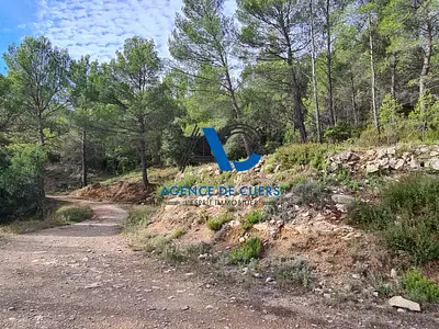 Terrain, 30 000 m²
