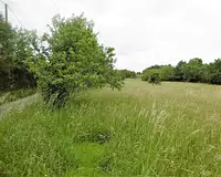 Terrain, 2 400 m²