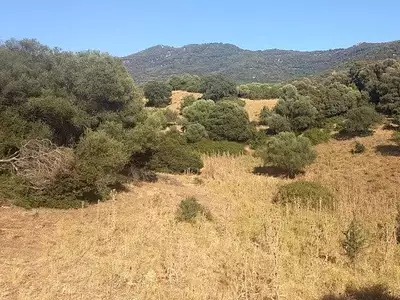 Terrain, 2 900 m²